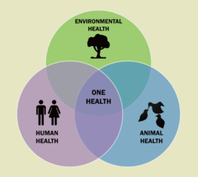One Health: Environmental Health, Human Health, Animal Health